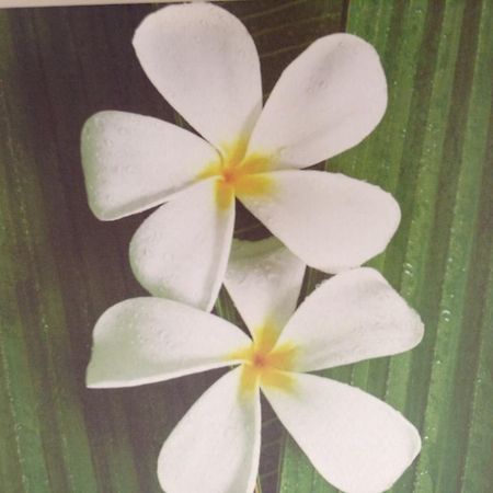 ワイカナエ Te Moana Bed & Breakfast Bed & Breakfast エクステリア 写真